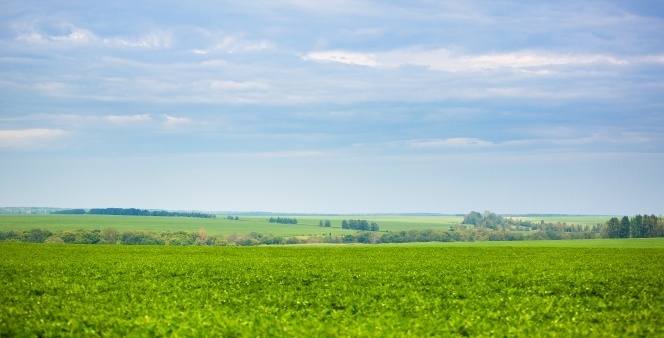 6,000 ha of arable land purchased in Terbuny