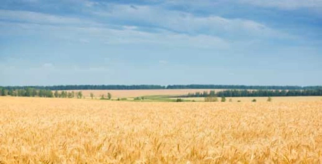 10,000 ha of land acquired in Stanovlyanskiy District